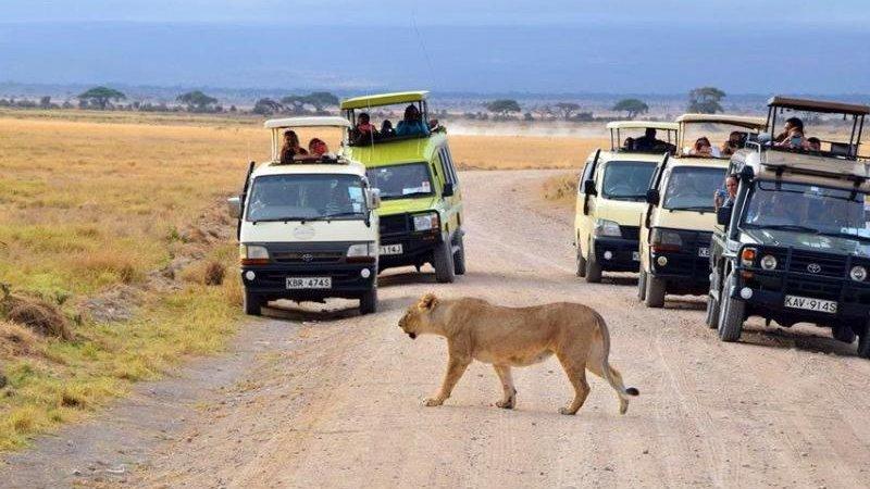 Book a safari in Uganda online