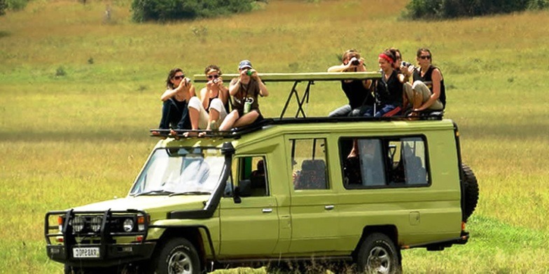 Hire a 4x4 Car For Safari