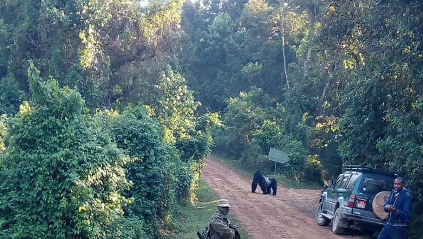 Driving to Bwindi from Kampala guide