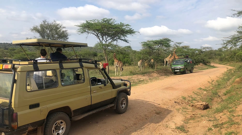 safari cars in uganda 