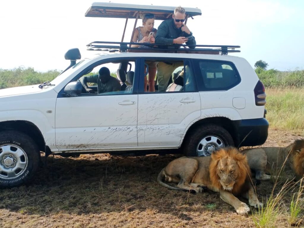 4x4 safari cars for hire in Uganda