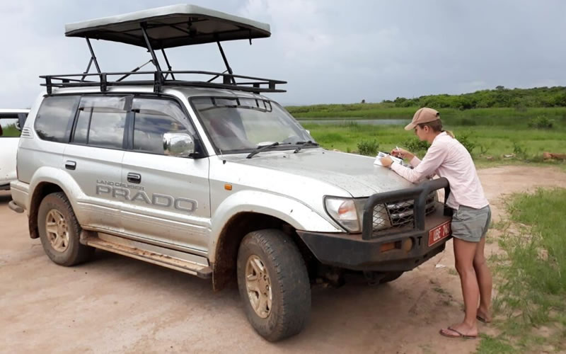 RAV4 vs Land Cruiser in Uganda – Which 4×4 to Rent?