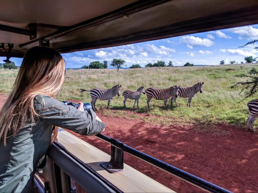 4x4 cars game drive trips