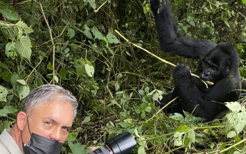 Gorilla trekking in Bwindi forest