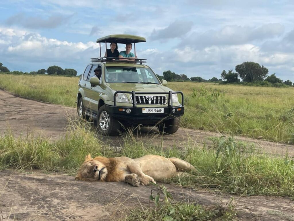 Uganda Safari Cars: How To Choose The Right Car