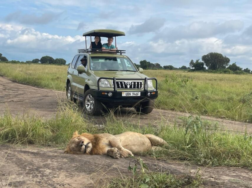 safari car rental in Land cruiser
