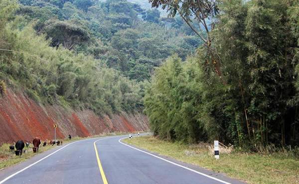 drive from entebbe to bwindi
