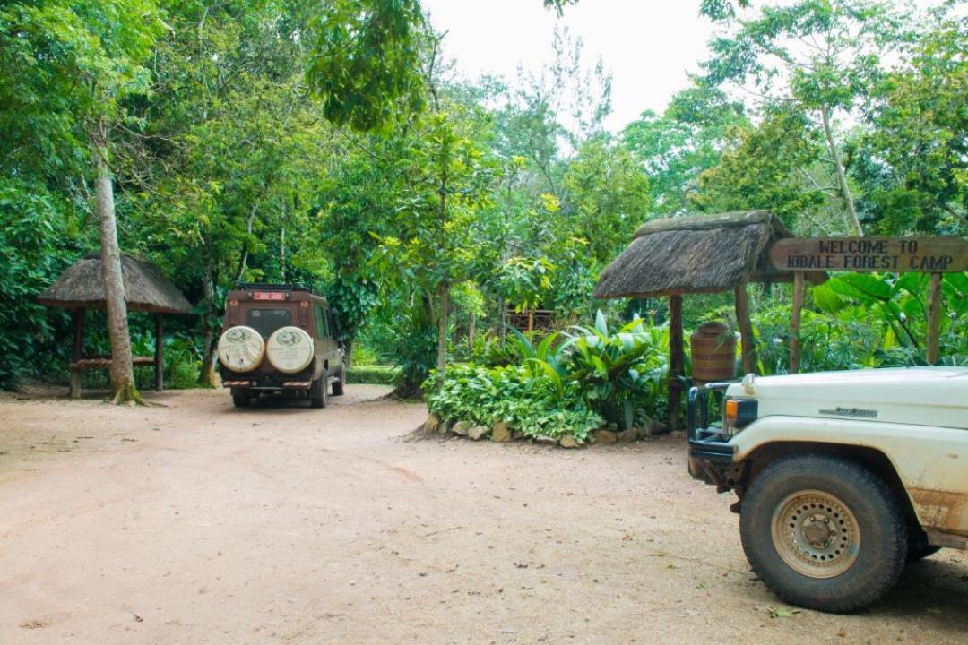 uganda self drive routes