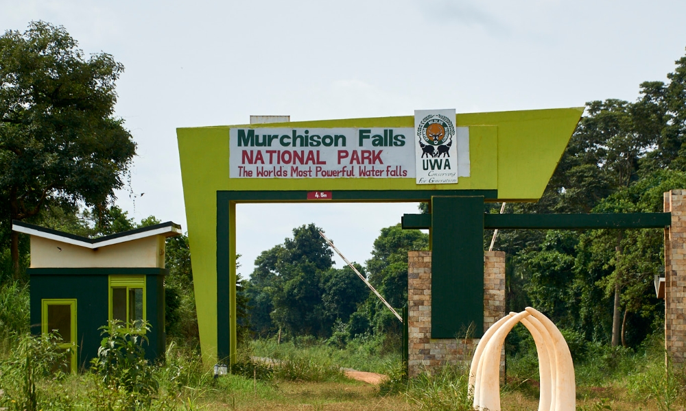 self drive entrance fees